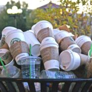 Starbucks disposable cups deemed ‘unrecyclable’ by major recycling companies